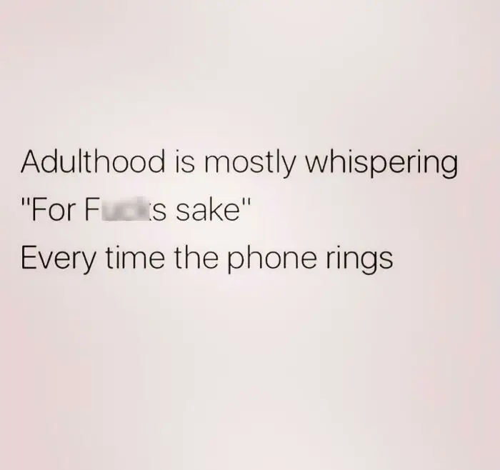 30 Painfully Hilarious Memes To Sum Up Adulthood