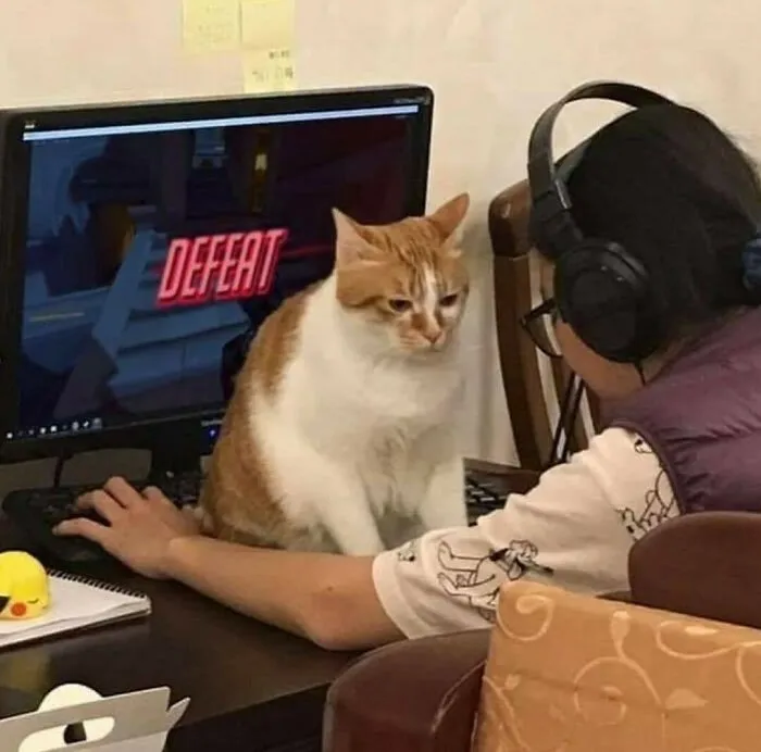 30 Nonsense Pics Of Cats That Weirdly Make Sense