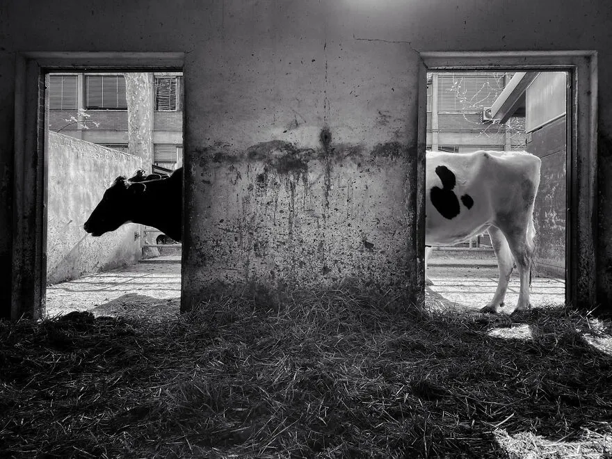 30 Unbelievable Images That Were Taken On An Iphone