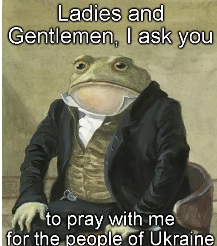 Funny Ukraine War Memes  Frog Praying For Ukraine