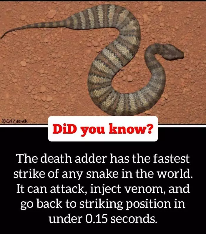30 Epic Facts You Probably Didn'T Know !