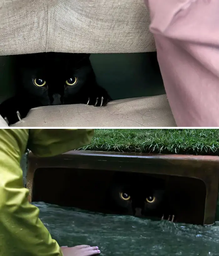 30 Perfectly Planned Photoshopped Images That Are Extremely Hilarious