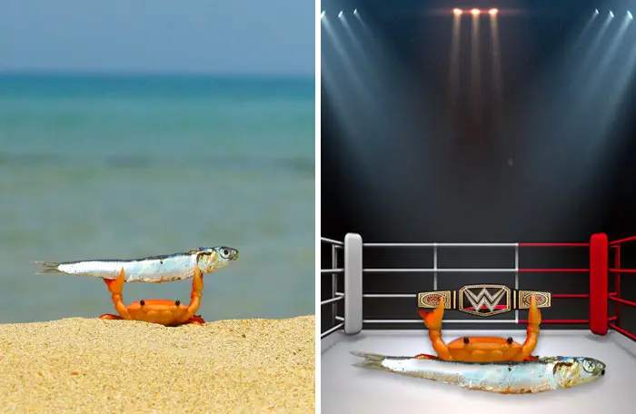 30 Perfectly Planned Photoshopped Images That Are Extremely Hilarious