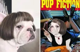 30 Perfectly Planned Photoshopped Images That Are Extremely Hilarious