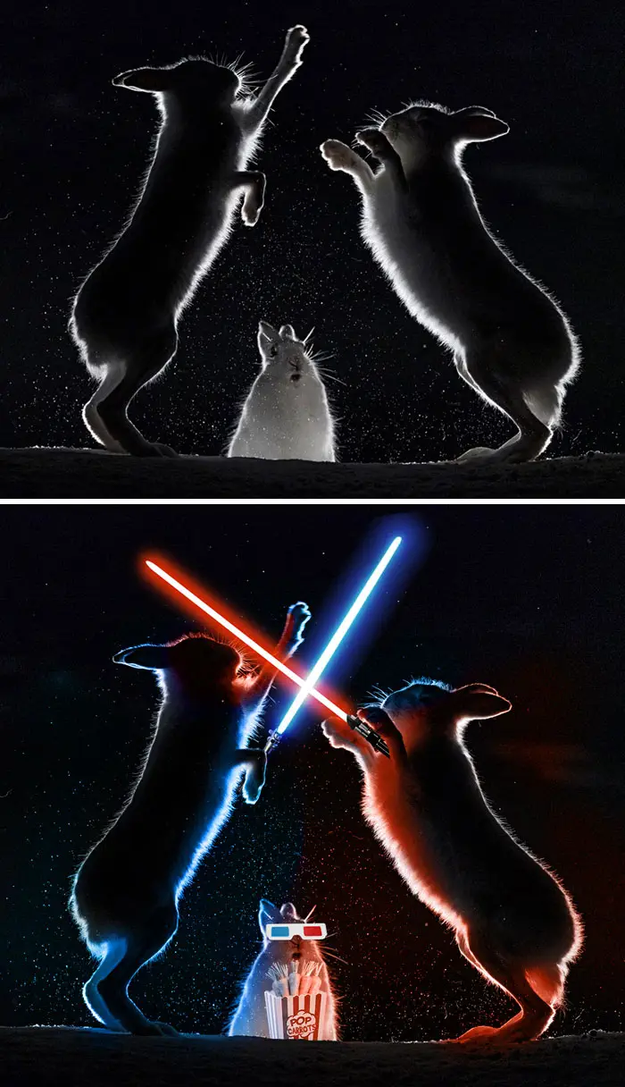 30 Perfectly Planned Photoshopped Images That Are Extremely Hilarious