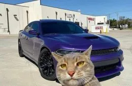 63564A2C00Ad8 Funny No Context Pictures