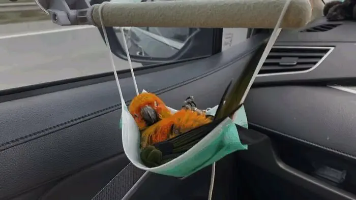 30 Epic Animal Images That Just Don’t Make Any Sense