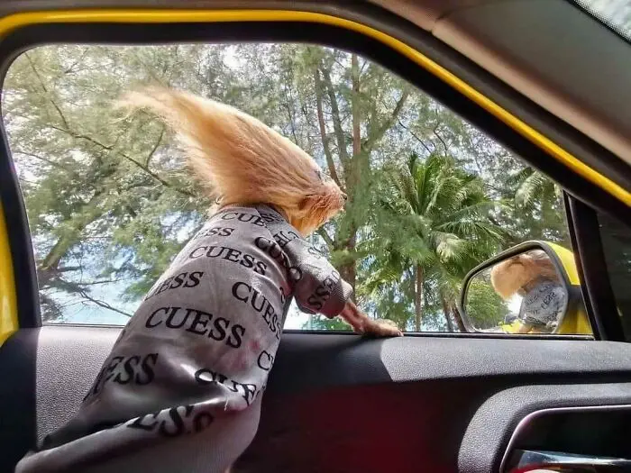 30 Epic Animal Images That Just Don’t Make Any Sense