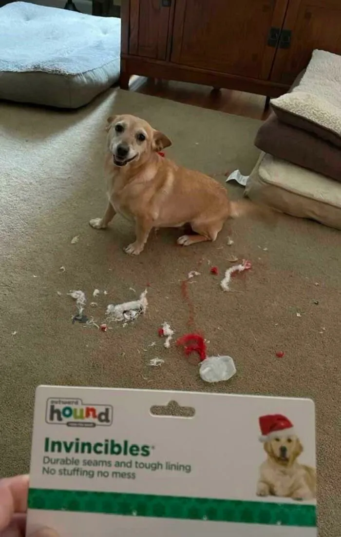 638Effcc1475B 4G2Kso0Mir781 700