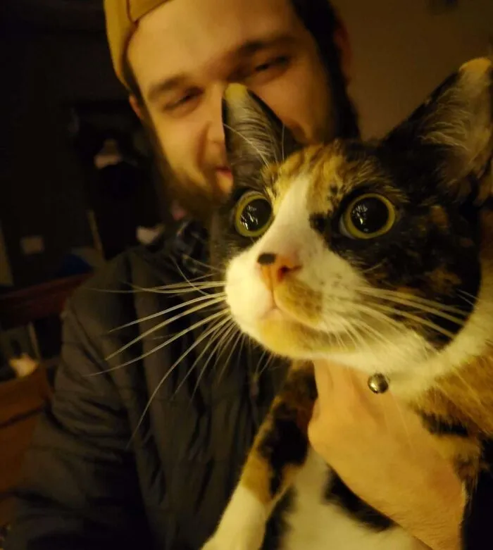 638F540F7Ae8A Christmas Cats 9