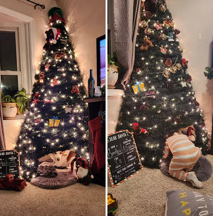 30 Epic And Creative Christmas Trees That Absolutely Won Christmas