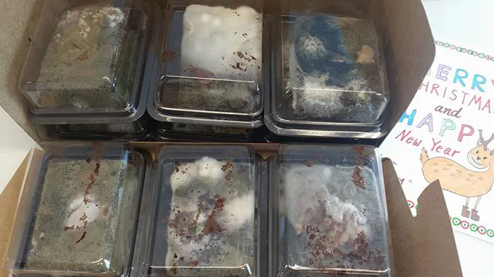 Funny Christmas Bad Day Fails Accidents 44 639702A635264 700