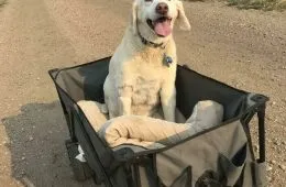 61000De469C5F Gk3U1L3Cnkd71 700