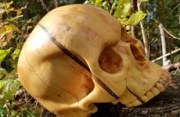 633D31842864D 6W5Rf79S8Hq91 700