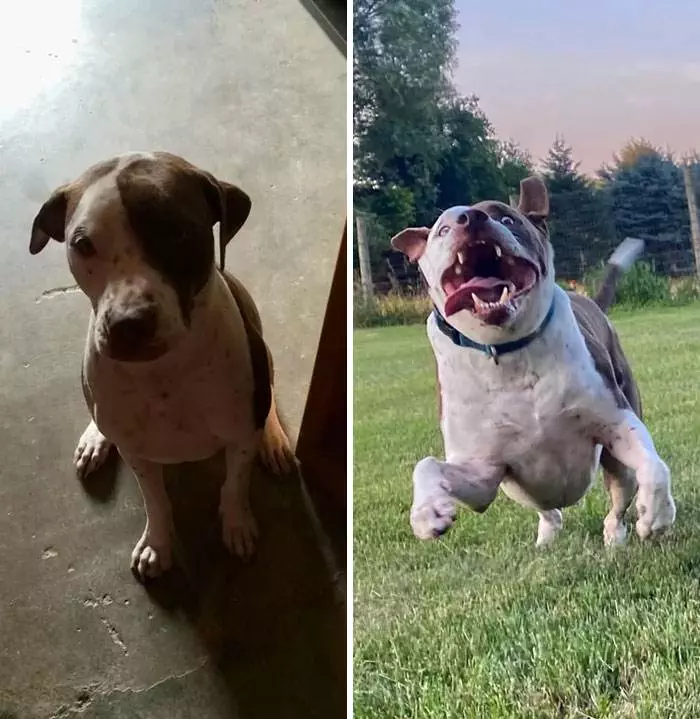 Before After Adoption 89 63Fe144Fa938B 700
