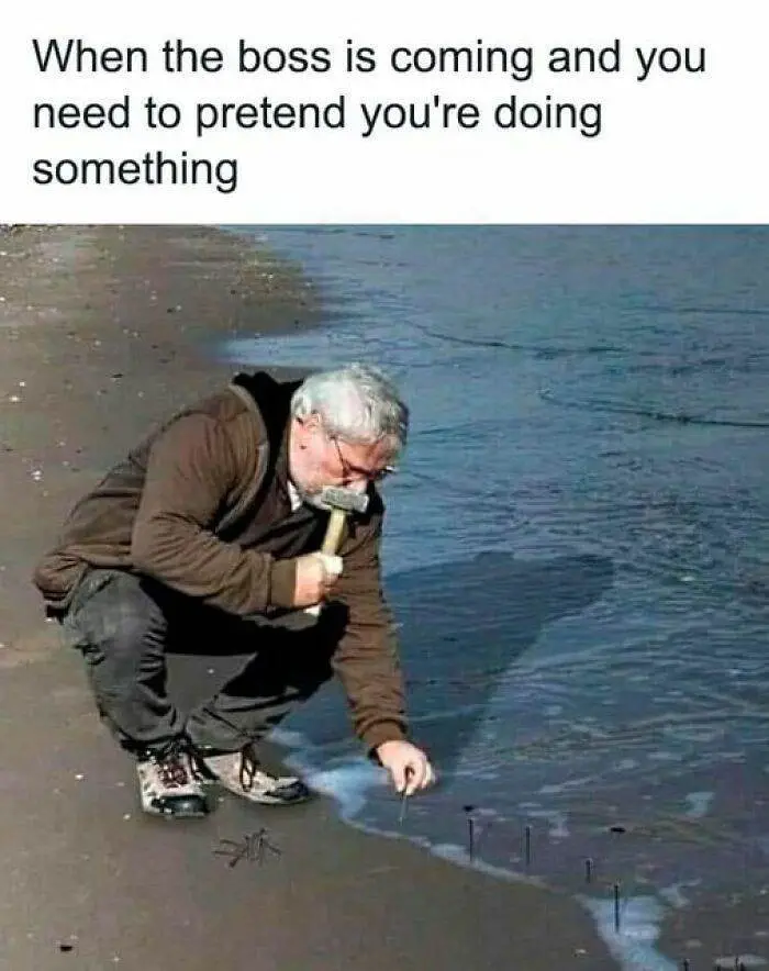 Funny Relatable Work Memes Jokes 203 640082528037E 700