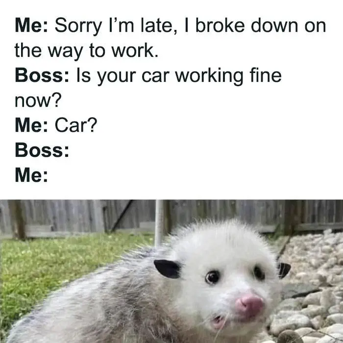 Funny Relatable Work Memes Jokes 640051Ad4F543 700 64007Df87E31C 700