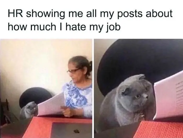 Funny Relatable Work Memes Jokes 640053981A458 700 64007E781A58A 700