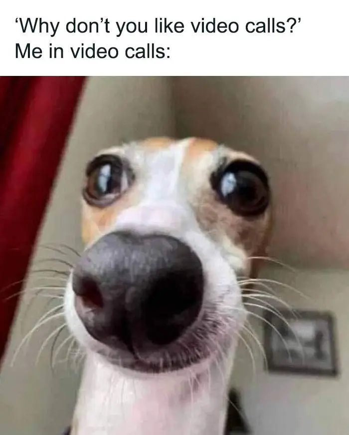 30 Hilarious Memes About Office Life To Share With Coworkers