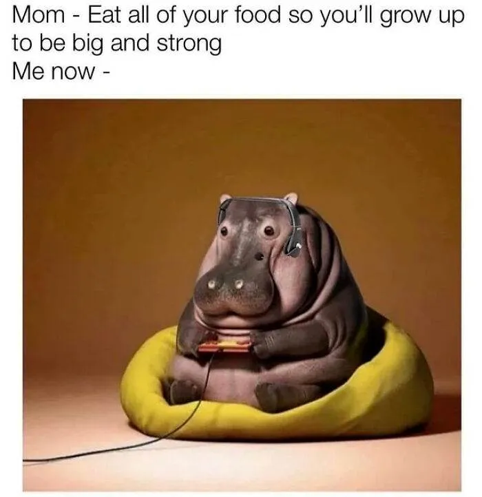 337169742 209407578359563 5792293367305836149 N 642E69E267B05 700