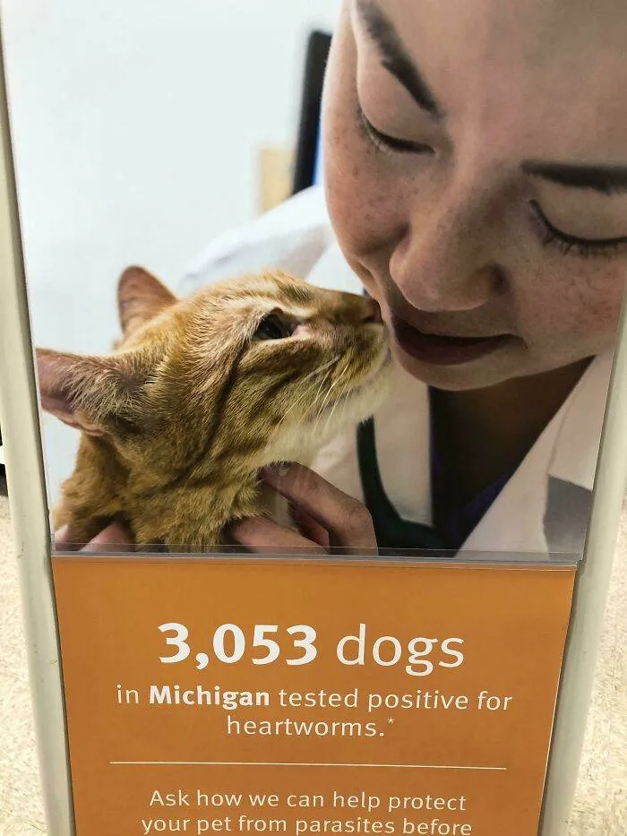 63F72A95A9770 F147Wty9Vt591 700