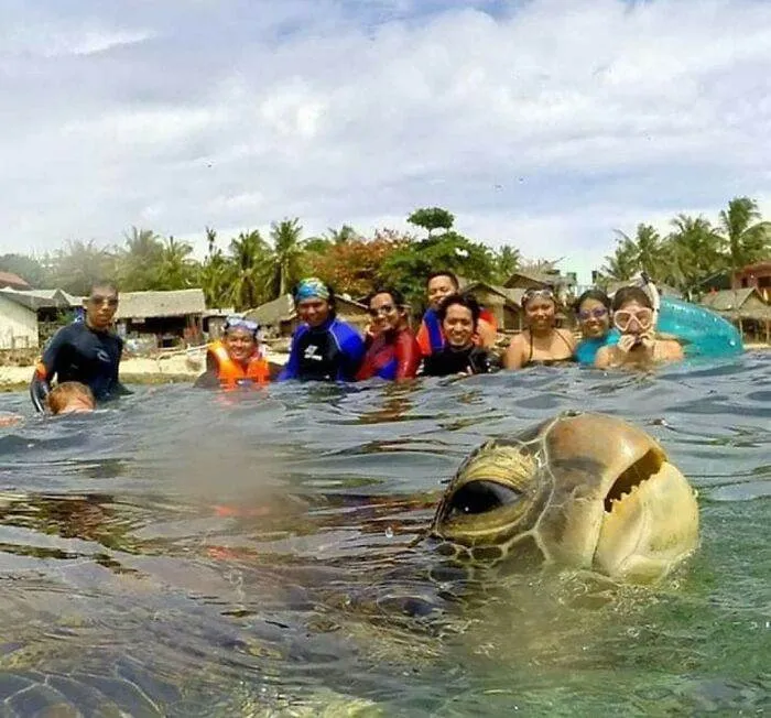 642A807Aac306 Animals Being Derps