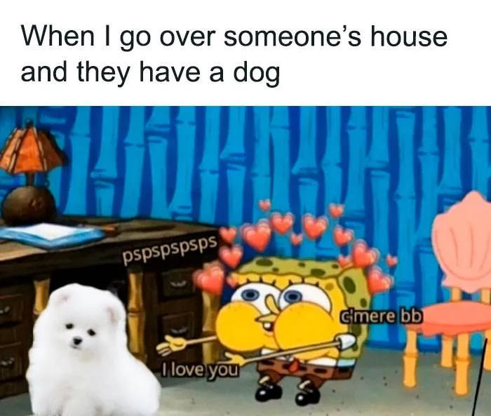 Funny Small Animal Memes 1 642Be851F25Ac 700