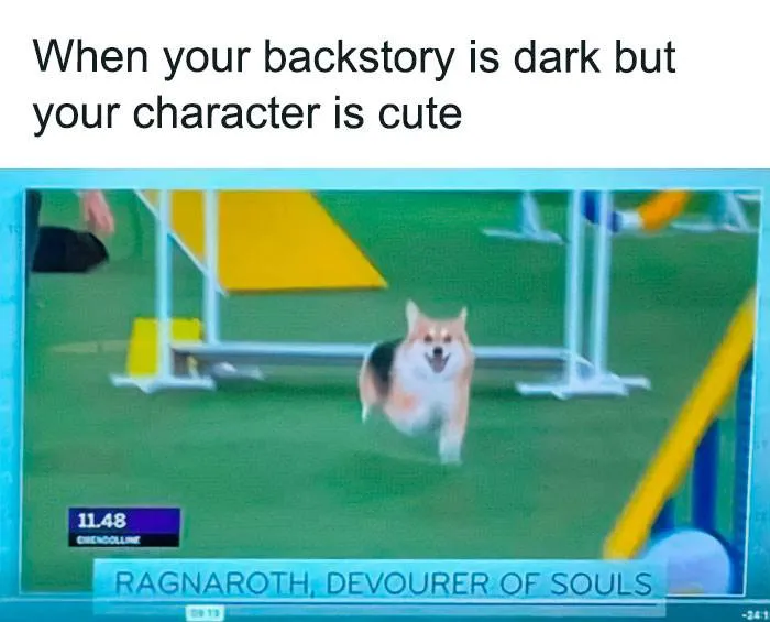 Funny Small Animal Memes 29 642C0B0D8D2Df 700