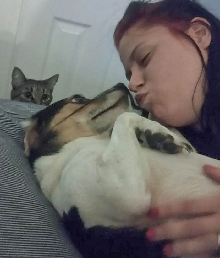 Funny Jealous Pets 11 64242E9600B69 700