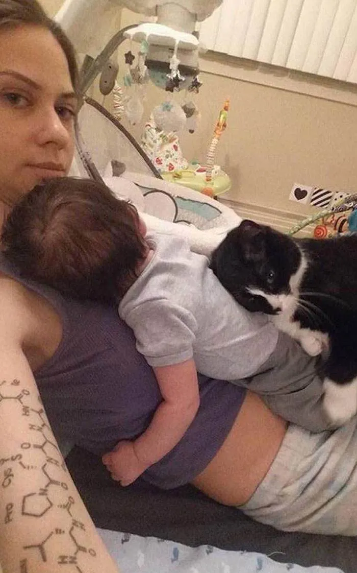 30 Cute Times Pets Hilariously Showed How Jealous They Are