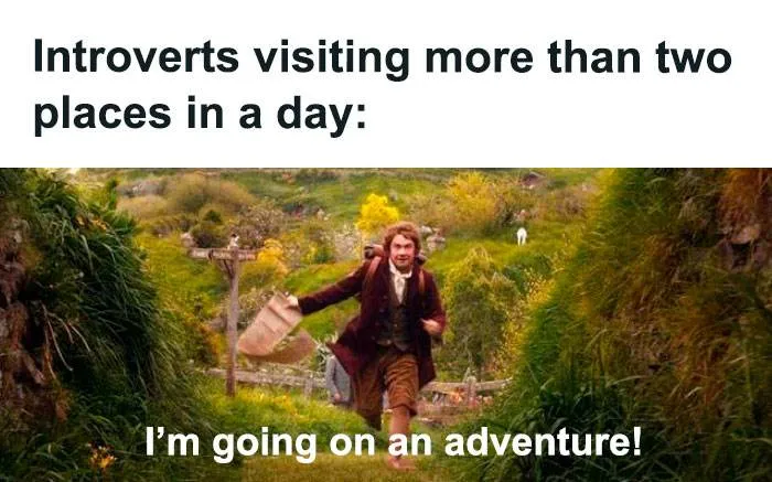 30 SpotOn And Funny Memes About Introverts