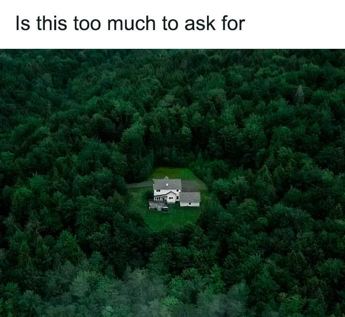 Introvert Memes By Allabintroverts 7 642Abb6Fa53A2 700