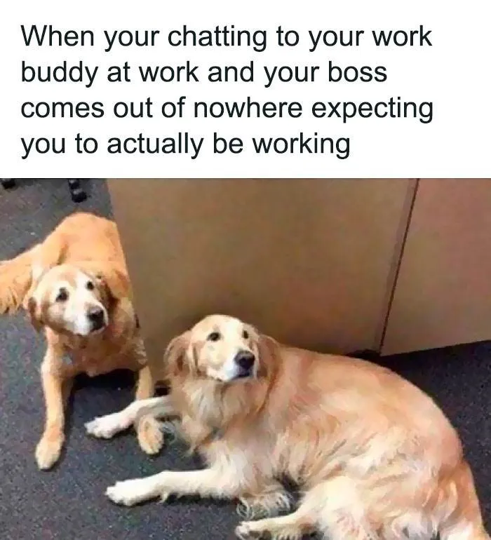 Retail Problems Funny Memes 642682Ebb463D 700 64269Ece8C114 700