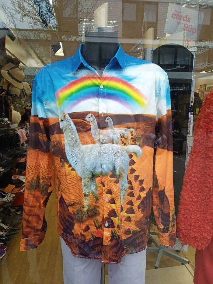 Stuff You Find In Charity Shops 640Ef65F2Ecf1 700