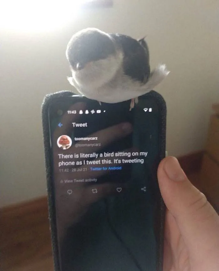 136 6454Ba1Dccad0 700