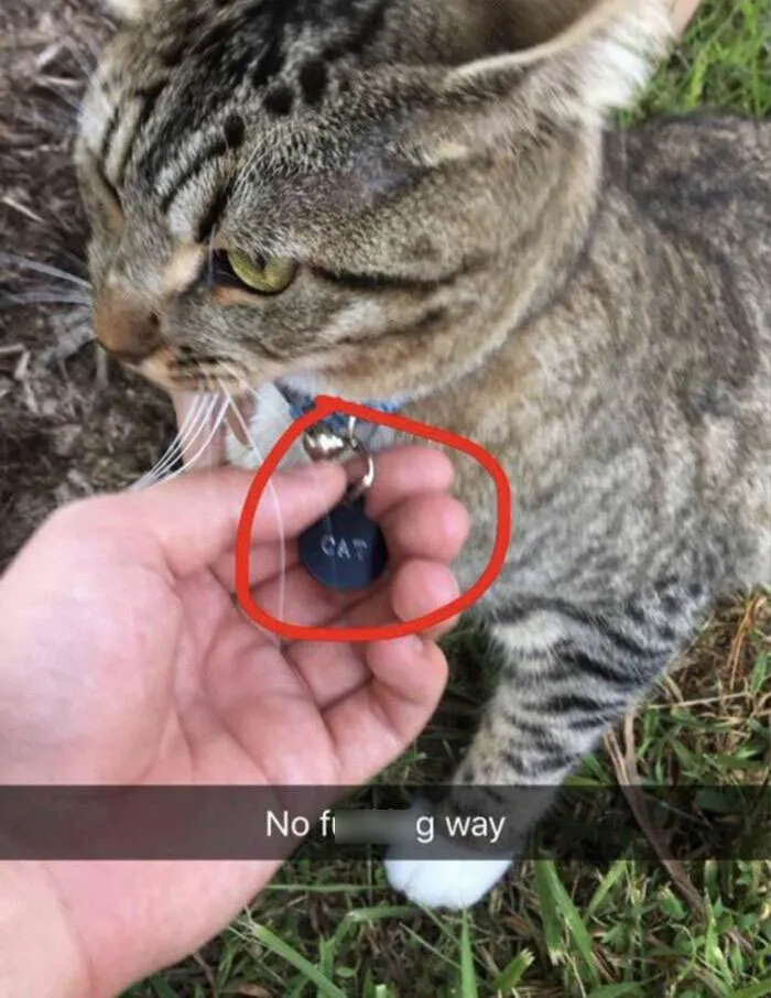 27 6454B911Db804 Censored 700