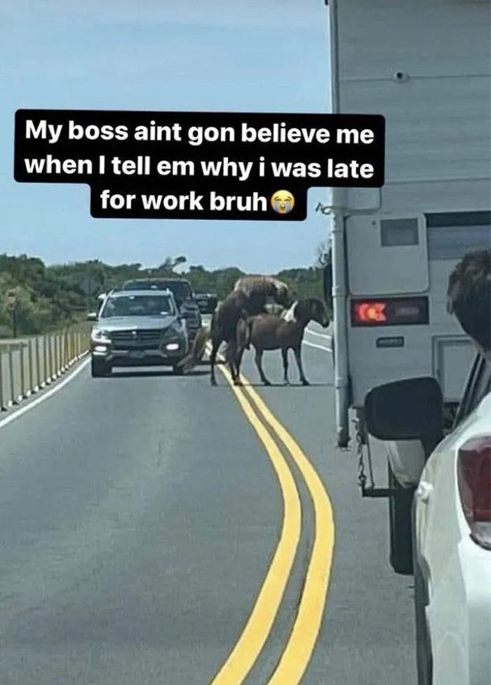 50 6454B94687652 700