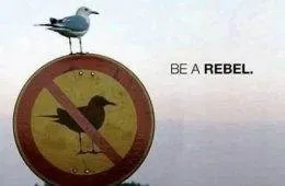 6448De8518A32 Yyl7Yv9T7Wf61 700