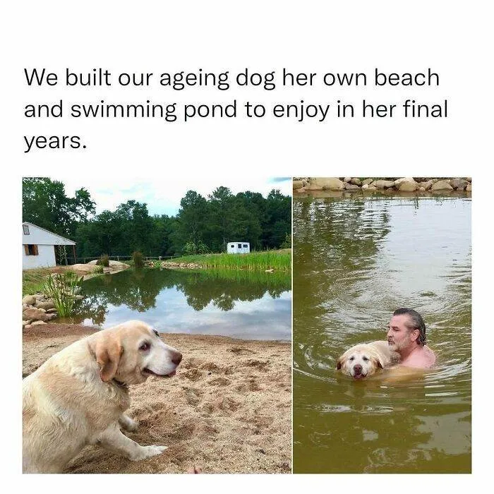 30 Adorable Wholesome Pics And Memes To Heal Your Soul