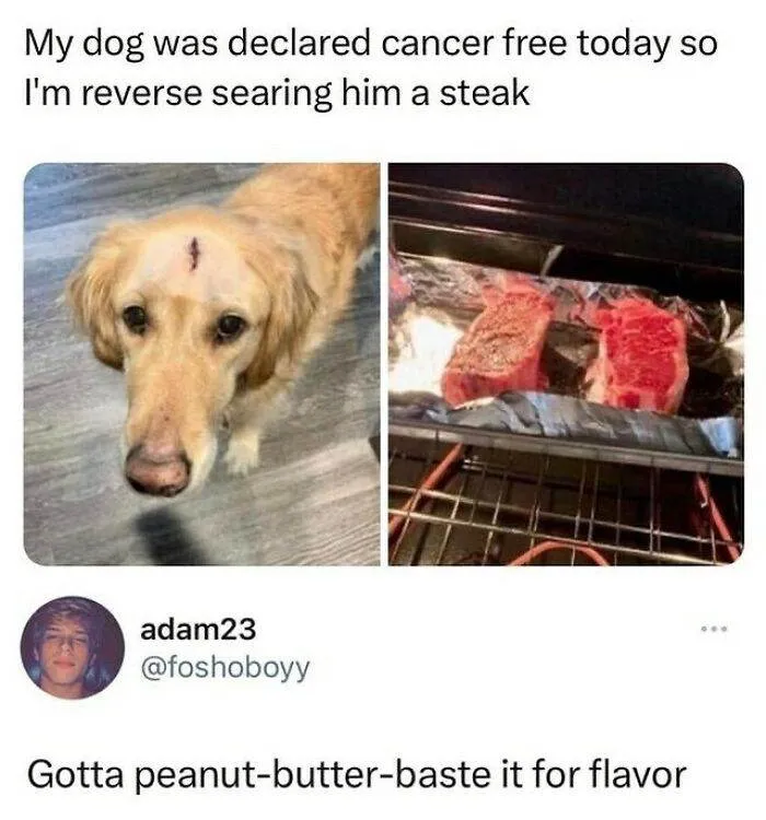 30 Wholesome Pics And Memes To Heal Your Soul