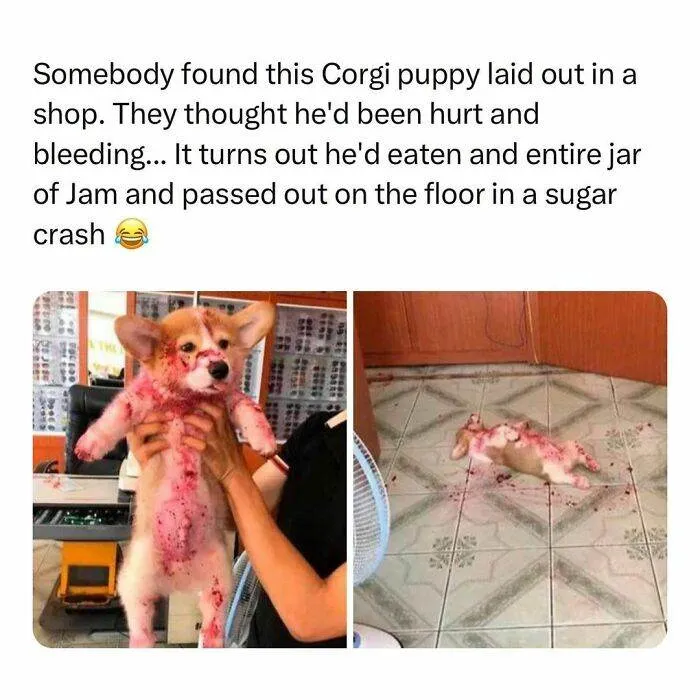 30 Wholesome Pics And Memes To Heal Your Soul