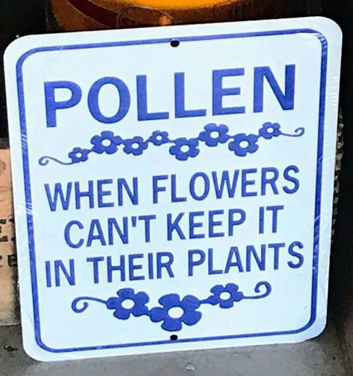 Funny English Language Police Pics 328 6448Bb2160716 700