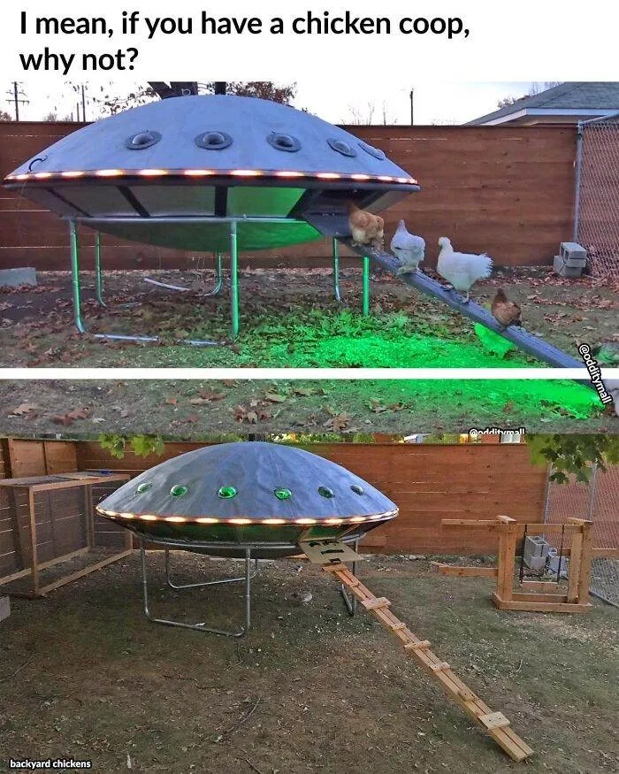 Hilarious Unusual Products Odditymall 6453Bef67F5Ce 700