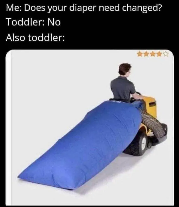 Nugget Memes Instagram 64491C5A7E266 700