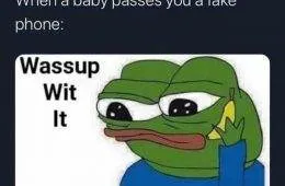 Nugget Memes Instagram 64492Eebd5B91 700