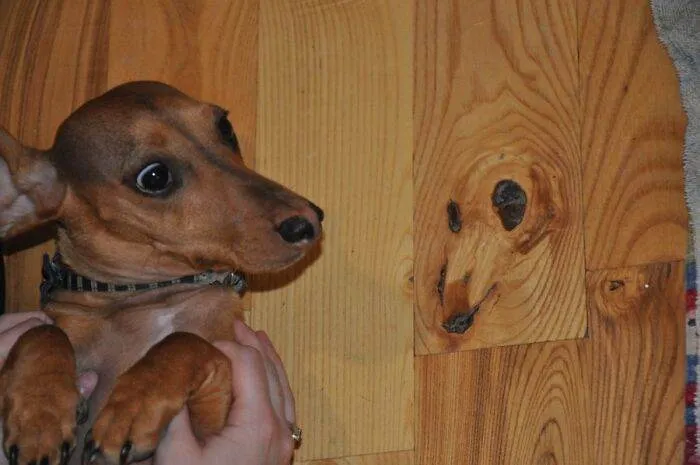 50 Of The Absolute Worst But Funny Pictures You Will See Today 