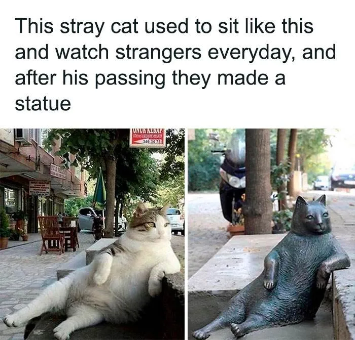 Wholesome Memes Hurtingsouls 40 645Ba65Eeb630 700