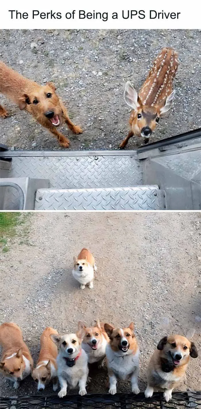 30 Wholesome Pics And Memes To Heal Your Soul