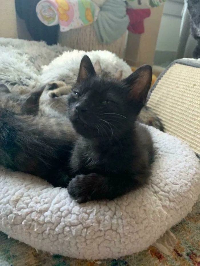 643D3D50132Ea D8J1Jgymfgy31 700