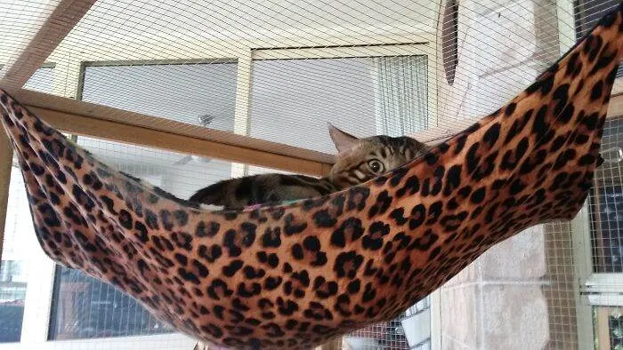 643E3De912Efa Qrvoyx4 700